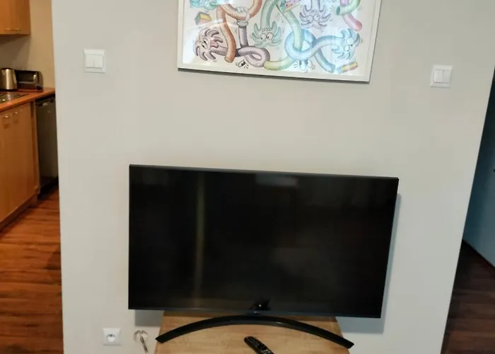 Apartament Haffnera